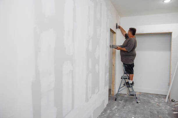 Best Basement Mold Removal  in Innsbrook, VA