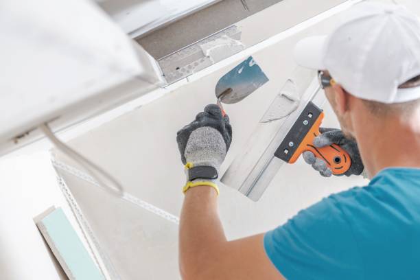 Mold Remediation for Rental Properties in Innsbrook, VA